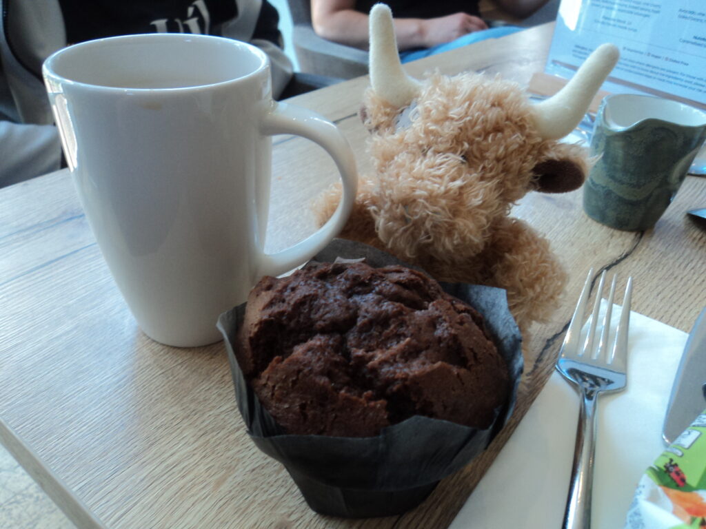 McDuff enjoys a tasty muffin
